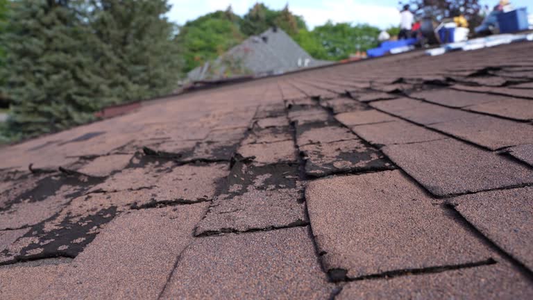 Best Cold Roofs  in Forest, OH