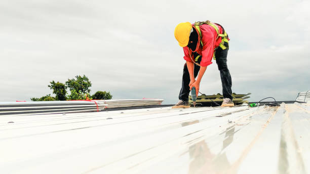 Best Roof Coating and Sealing  in Forest, OH