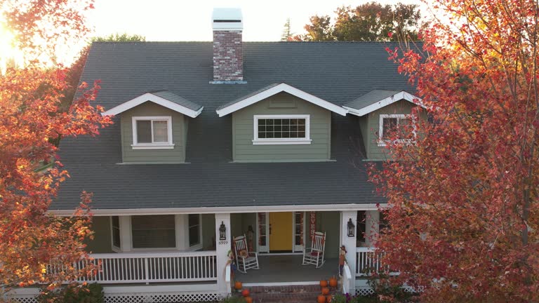 Best Gutter Installation and Repair  in Forest, OH
