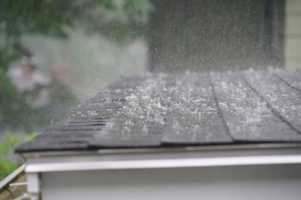 Best Solar Panel Roofing Installation  in Forest, OH