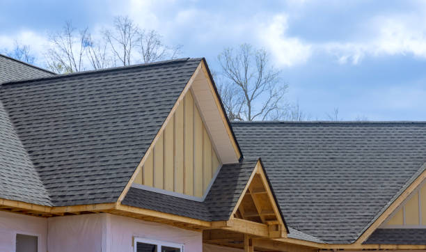 Best Storm Damage Roof Repair  in Forest, OH