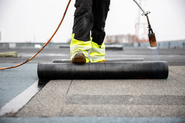 Best Roof Installation  in Forest, OH
