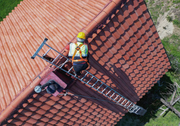 Best Commercial Roofing Services  in Forest, OH