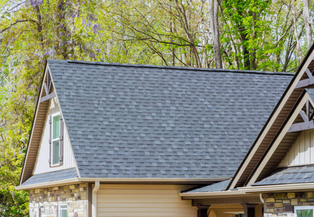 Best Metal Roofing Installation  in Forest, OH