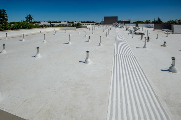 Best Emergency Roof Repair Services  in Forest, OH