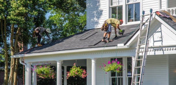 Best Hot Roofs  in Forest, OH